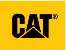 cat-2