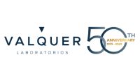 Valquer logo