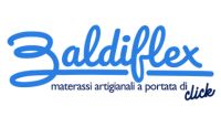 Baldiflex Logo