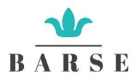 Barse Jewelry New Logo