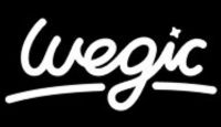 Wegic Logo