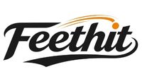 Feethit Logo