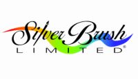Silver Brush Logo