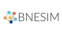 BNESIM Logo